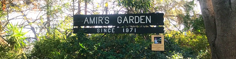 Amir’s Garden