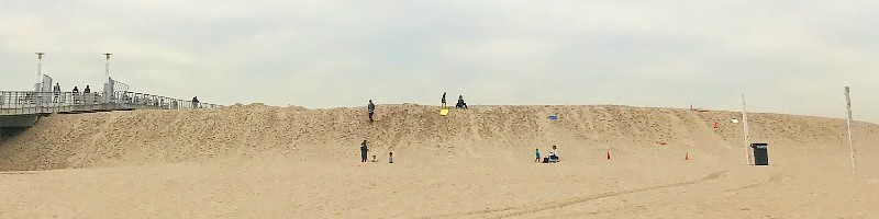 Sand Sledding in Hermosa