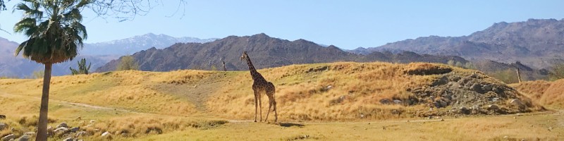 The Living Desert Zoo and Gardens