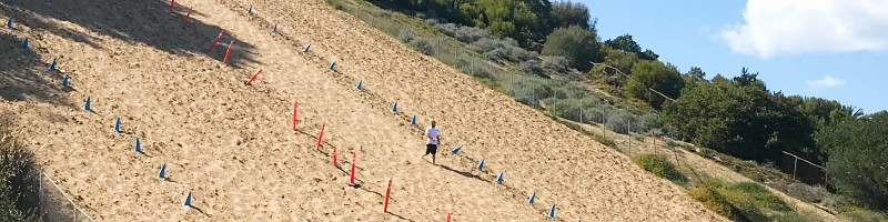 Sand Dune Park