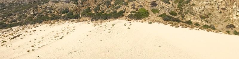 Malibu Sand Dunes