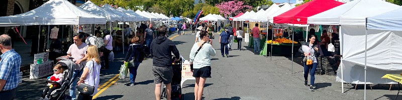 Montrose Harvest Market