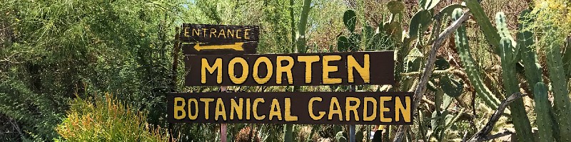 Moorten Botanical Garden