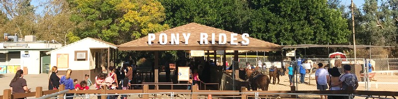 Griffith Park Pony Rides