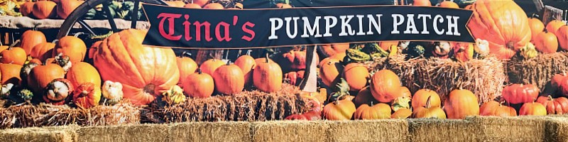 Tina’s Pumpkin Patch