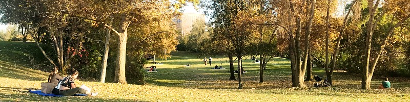 Vista Hermosa Park